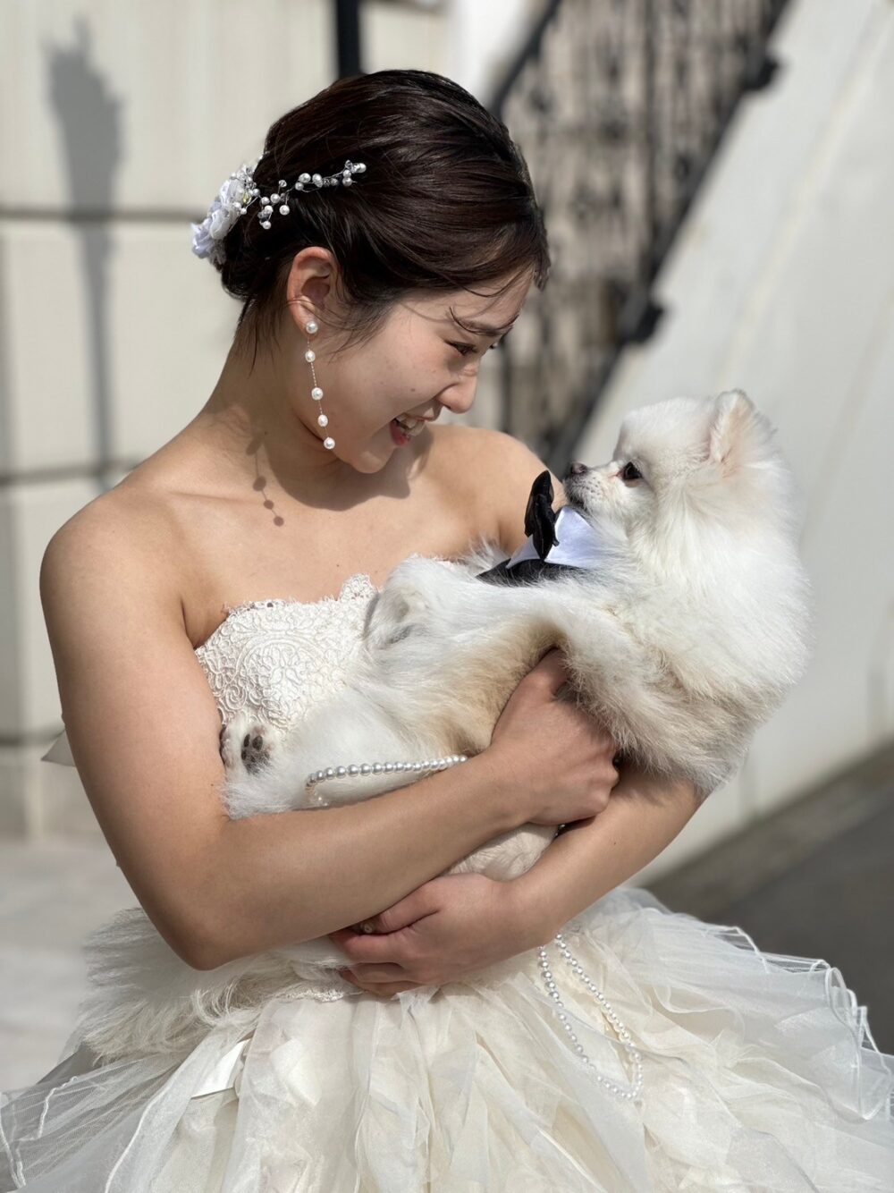 Photo Wedding With Your Pet
