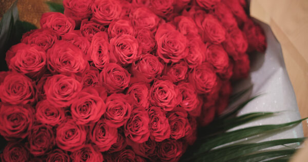 The 60th Anniversary photo~DRESS~